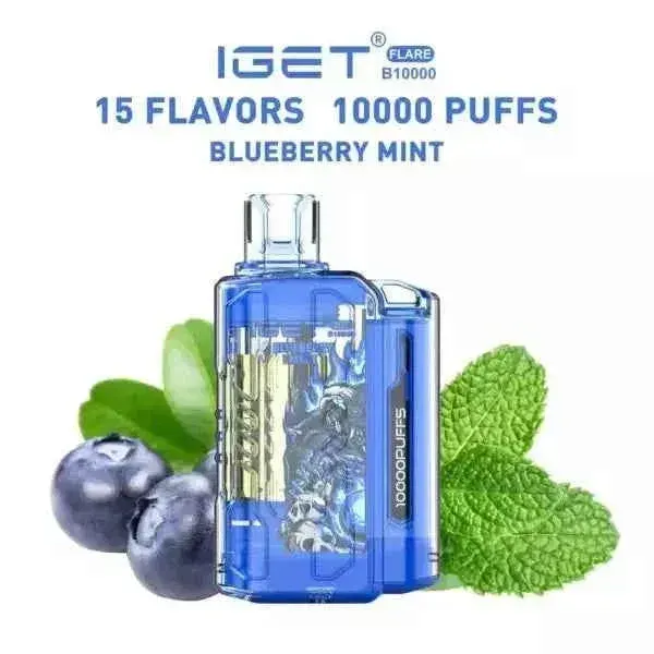 IGET FLARE B10000 Blueberry Mint
